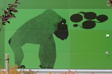 A great ape adorns part of the façade